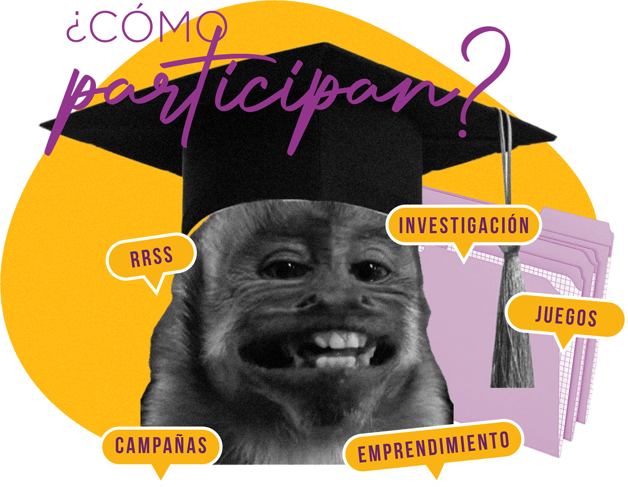 ¿Cómo participan?