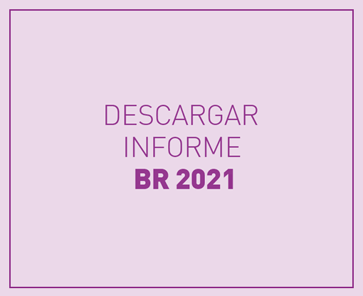 Informe 2021 BR