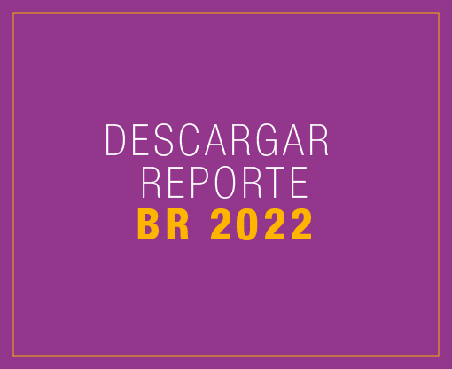 Informe 2022 BR